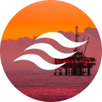 RS International Solutions Logo